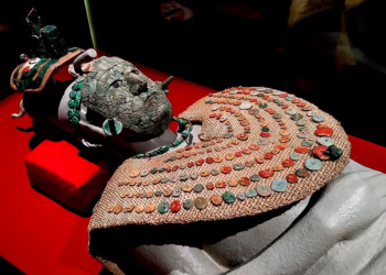 El Misterio de la Reina Roja Maya