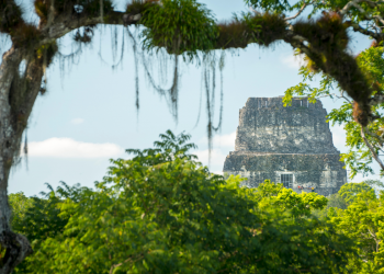 Los Secretos de la Selva Maya
