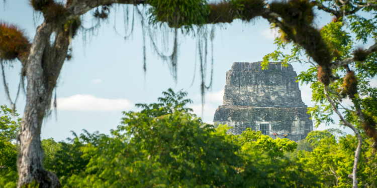 Los Secretos de la Selva Maya