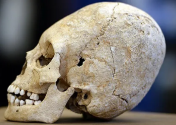 Descubre el Misterio de la Deformación Craneal Maya