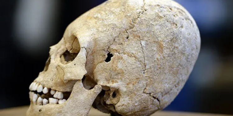 Descubre el Misterio de la Deformación Craneal Maya