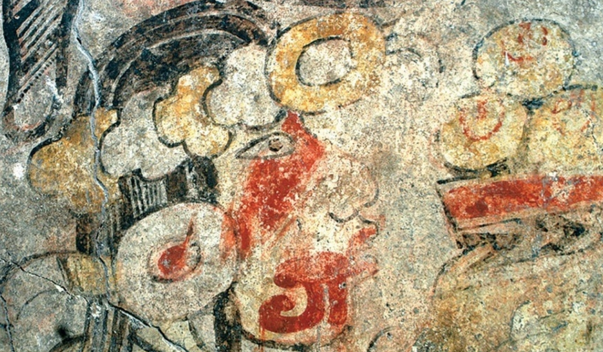 Los Secretos de la Selva Maya en Cada Bocado