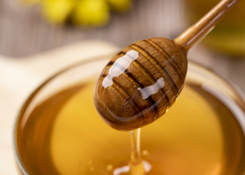 Descubre el Secreto de la Miel de Abejas Meliponas