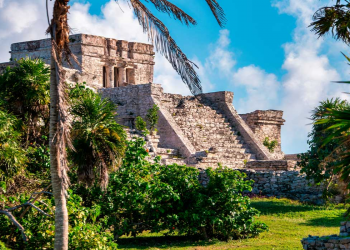 Descubre los Secretos del Parque del Jaguar Tulum